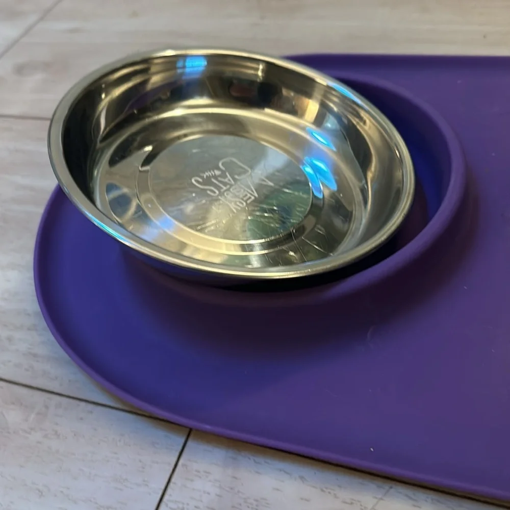 Messy Cat Bowls tray Modern Double Feeder purple silicon stainless steel bowls